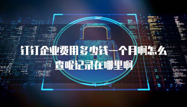 钉钉企业费用多少钱一个月啊怎么查呢记录在哪里啊