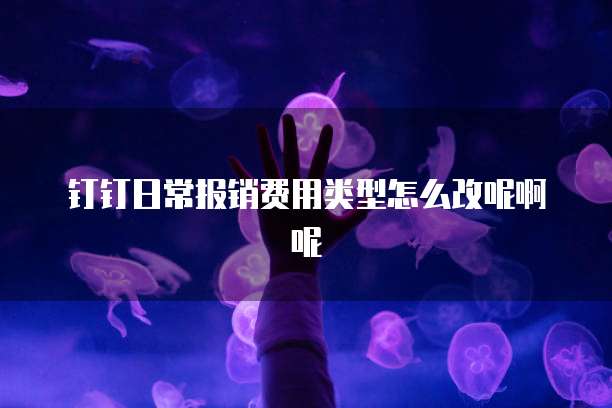 钉钉日常报销费用类型怎么改呢啊呢