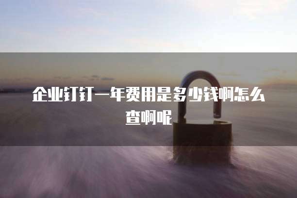 企业钉钉一年费用是多少钱啊怎么查啊呢