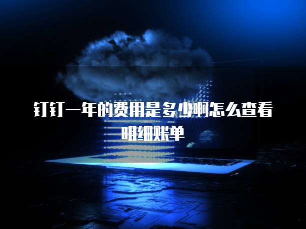 钉钉一年的费用是多少啊怎么查看明细账单