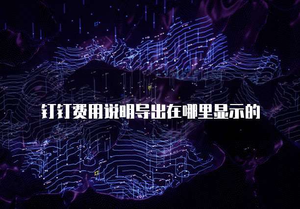 钉钉费用说明导出在哪里显示的
