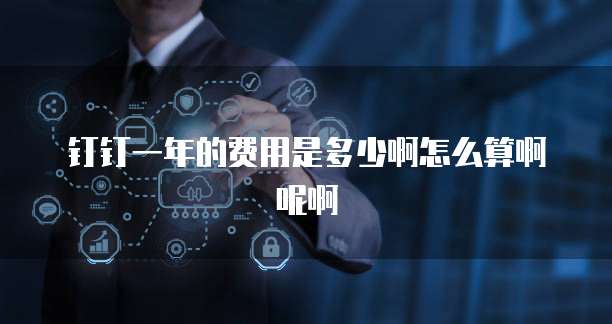 钉钉一年的费用是多少啊怎么算啊呢啊