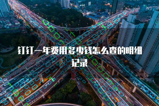 钉钉一年费用多少钱怎么查的明细记录