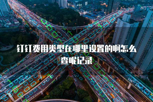 钉钉费用类型在哪里设置的啊怎么查呢记录