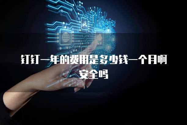 钉钉一年的费用是多少钱一个月啊安全吗