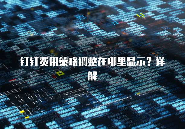 钉钉费用策略调整在哪里显示?详解