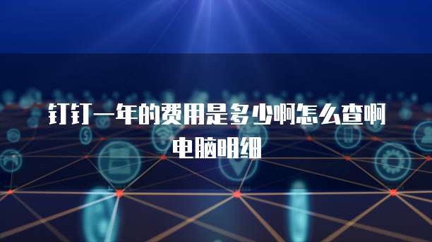 钉钉一年的费用是多少啊怎么查啊电脑明细