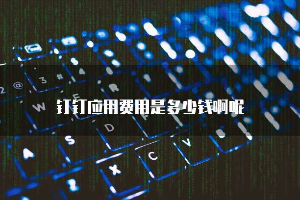 钉钉应用费用是多少钱啊呢