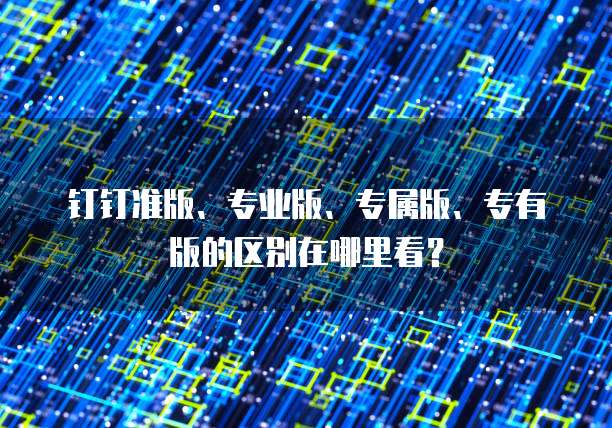 钉钉准版、专业版、专属版、专有版的区别在哪里看？
