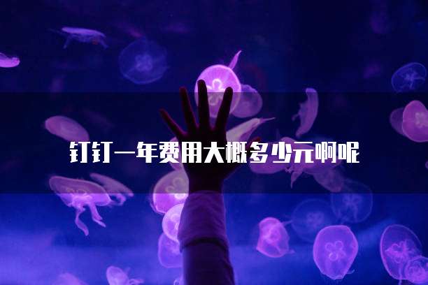 钉钉一年费用大概多少元啊呢