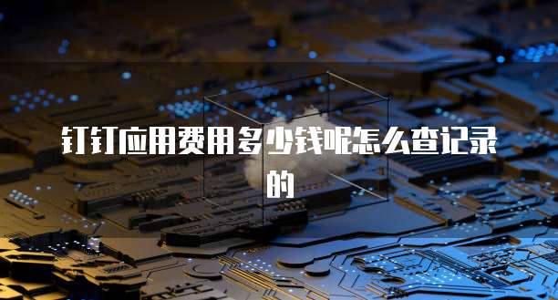 钉钉应用费用多少钱呢怎么查记录的