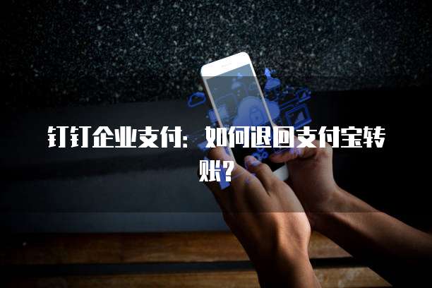 钉钉企业支付:如何退回支付宝转账?