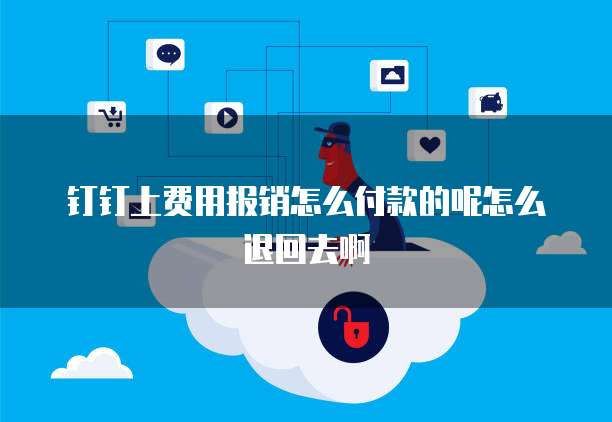 钉钉上费用报销怎么付款的呢怎么退回去啊