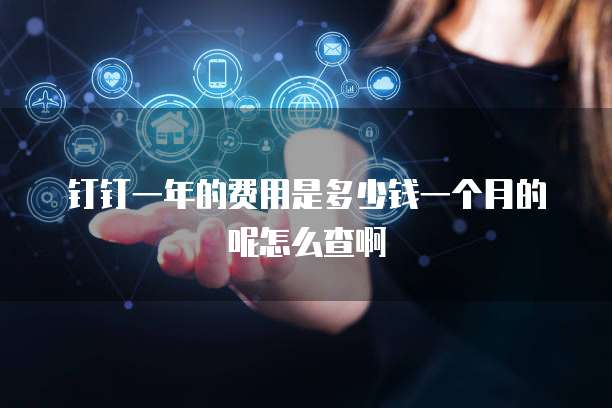 钉钉一年的费用是多少钱一个月的呢怎么查啊