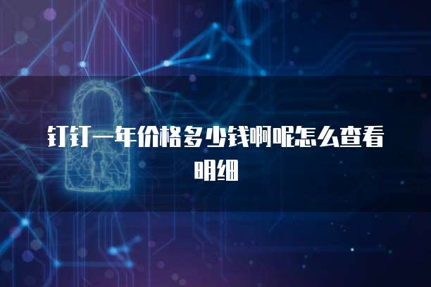 钉钉一年价格多少钱啊呢怎么查看明细