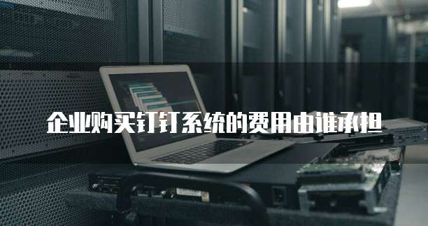 企业购买钉钉系统的费用由谁承担