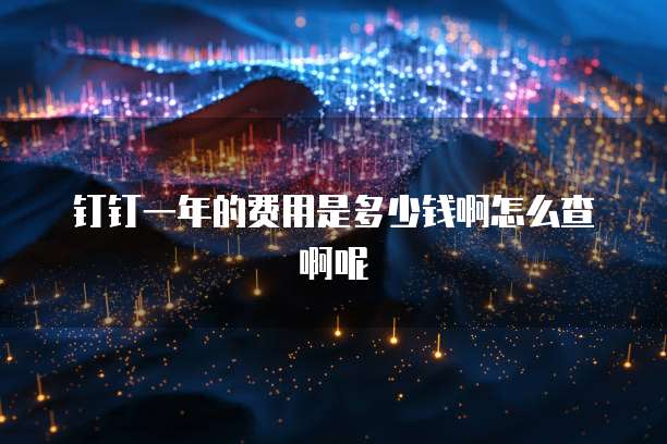 钉钉一年的费用是多少钱啊怎么查啊呢