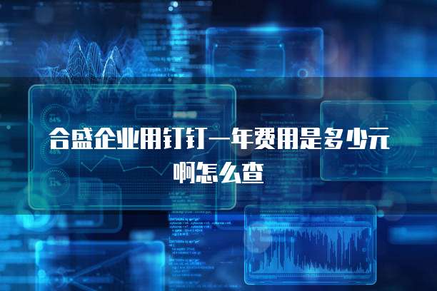 合盛企业用钉钉一年费用是多少元啊怎么查