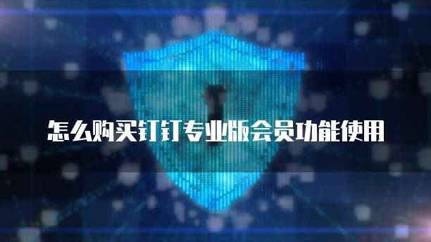 怎么购买钉钉专业版会员功能使用