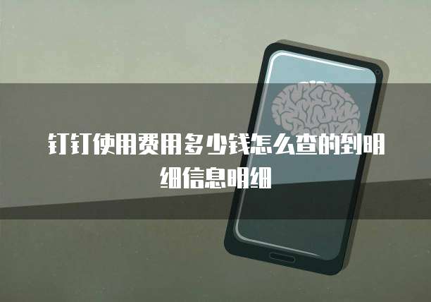 钉钉使用费用多少钱怎么查的到明细信息明细