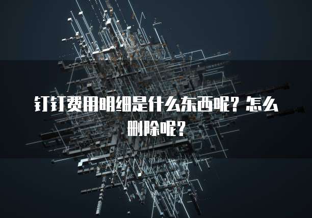 钉钉费用明细是什么东西呢?怎么删除呢?