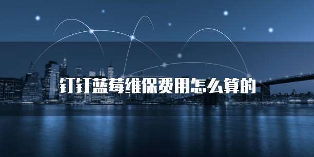 钉钉蓝莓维保费用怎么算的