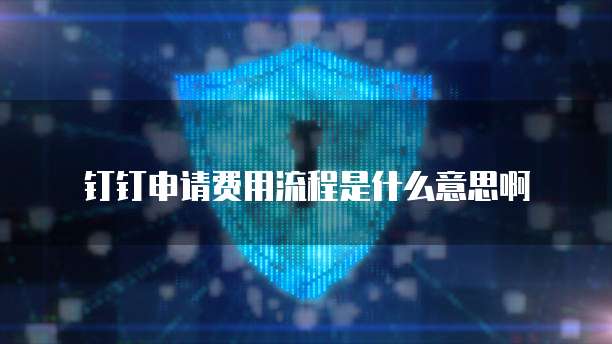 钉钉申请费用流程是什么意思啊