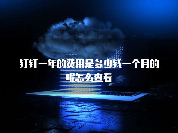钉钉一年的费用是多少钱一个月的呢怎么查看