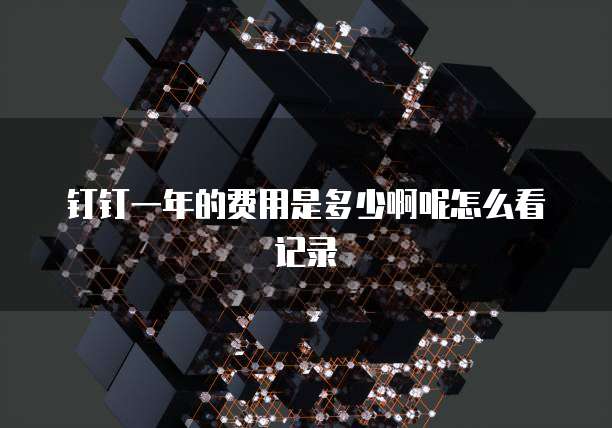 钉钉一年的费用是多少啊呢怎么看记录