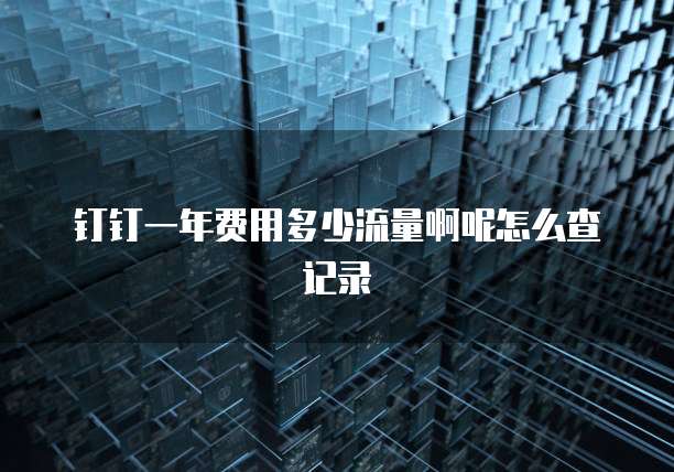 钉钉一年费用多少流量啊呢怎么查记录
