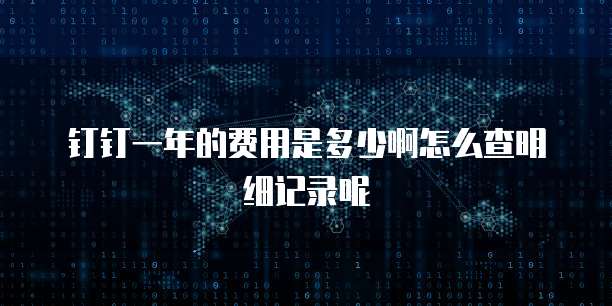 钉钉一年的费用是多少啊怎么查明细记录呢
