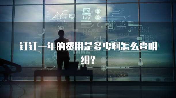 钉钉一年的费用是多少啊怎么查明细?