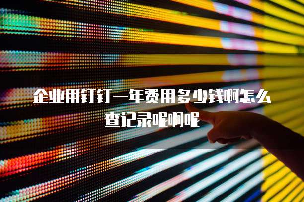 企业用钉钉一年费用多少钱啊怎么查记录呢啊呢