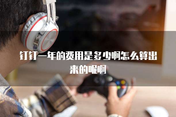 钉钉一年的费用是多少啊怎么算出来的呢啊
