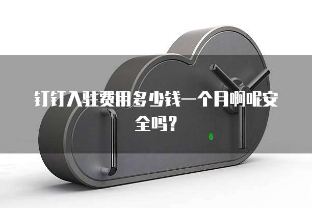 钉钉入驻费用多少钱一个月啊呢安全吗?