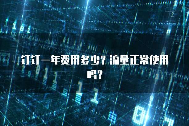 钉钉一年费用多少?流量正常使用吗?