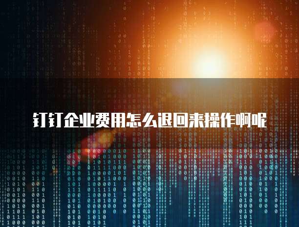 钉钉企业费用怎么退回来操作啊呢
