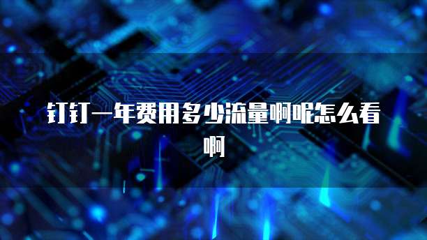 钉钉一年费用多少流量啊呢怎么看啊
