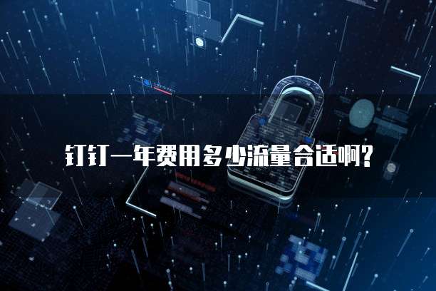 钉钉一年费用多少流量合适啊?