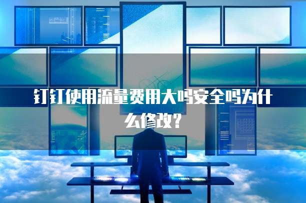 钉钉使用流量费用大吗安全吗为什么修改?