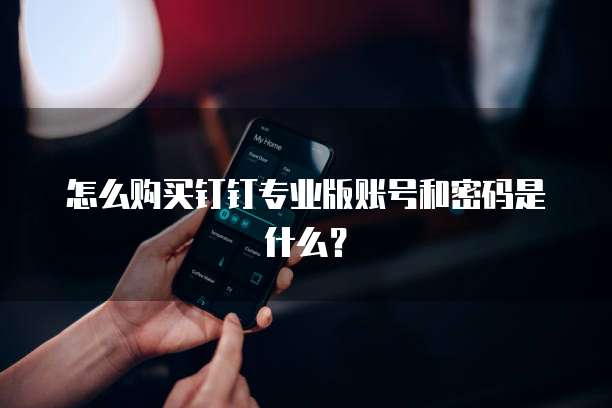 怎么购买钉钉专业版账号和密码是什么?
