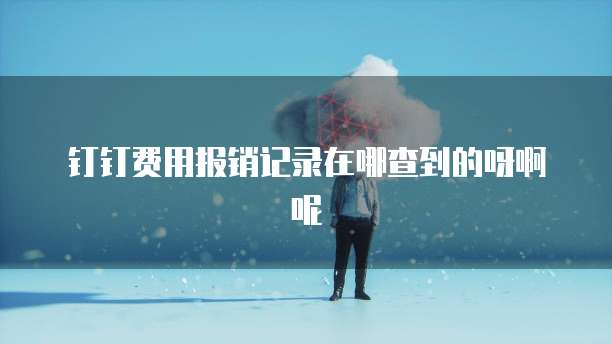 钉钉费用报销记录在哪查到的呀啊呢