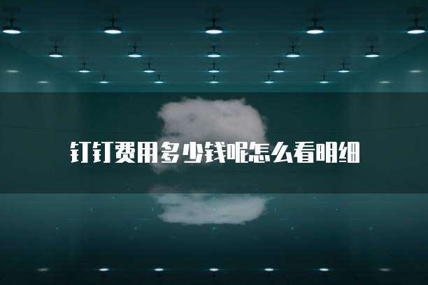 钉钉费用多少钱呢怎么看明细