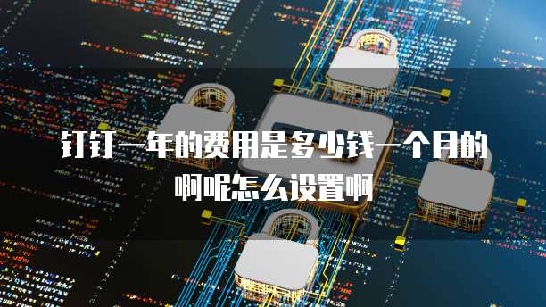 钉钉一年的费用是多少钱一个月的啊呢怎么设置啊