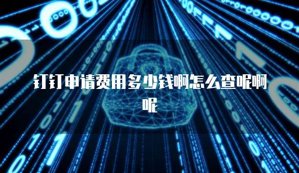 钉钉申请费用多少钱啊怎么查呢啊呢