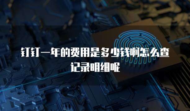 钉钉一年的费用是多少钱啊怎么查记录明细呢