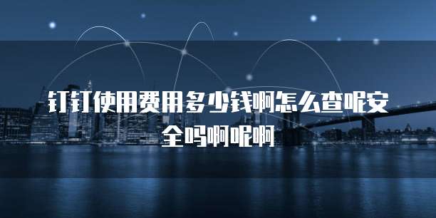 钉钉使用费用多少钱啊怎么查呢安全吗啊呢啊