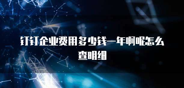 钉钉企业费用多少钱一年啊呢怎么查明细