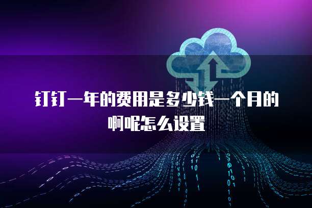 钉钉一年的费用是多少钱一个月的啊呢怎么设置