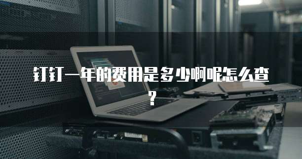 钉钉一年的费用是多少啊呢怎么查?